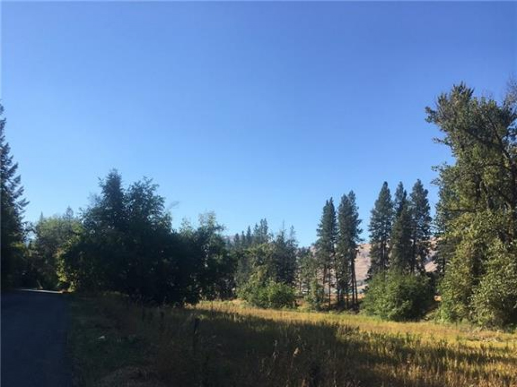 Sub Lot A Central Ave, Midway BC, V0H 1M0 Discover Border Country Realty