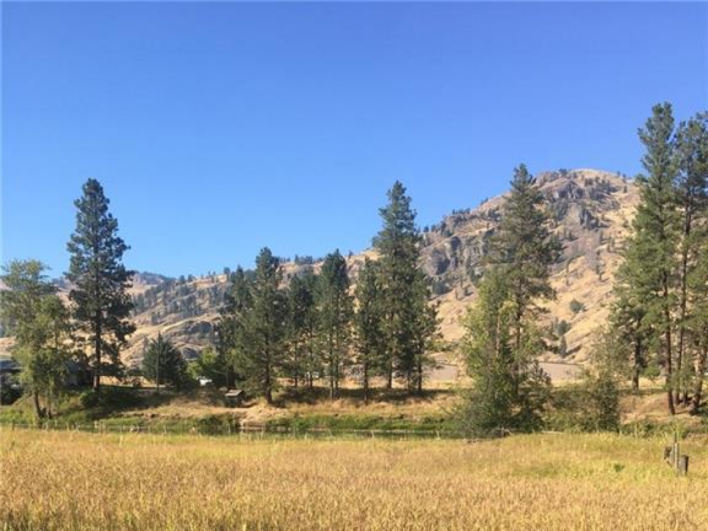 Sub Lot A Central Ave, Midway BC, V0H 1M0 Discover Border Country Realty