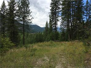 rural property, grand forks, north fork, pristine wilderness, land for sale, boundary area, british columbia, wooded lot for sale
